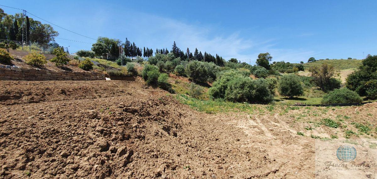 Venta de finca rústica en Mijas Costa