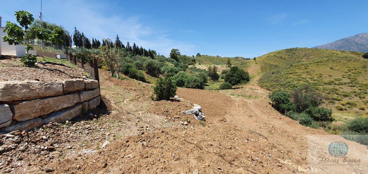 Venta de finca rústica en Mijas Costa