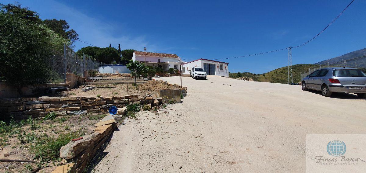 Venta de finca rústica en Mijas Costa