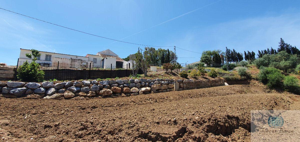 Venta de finca rústica en Mijas Costa