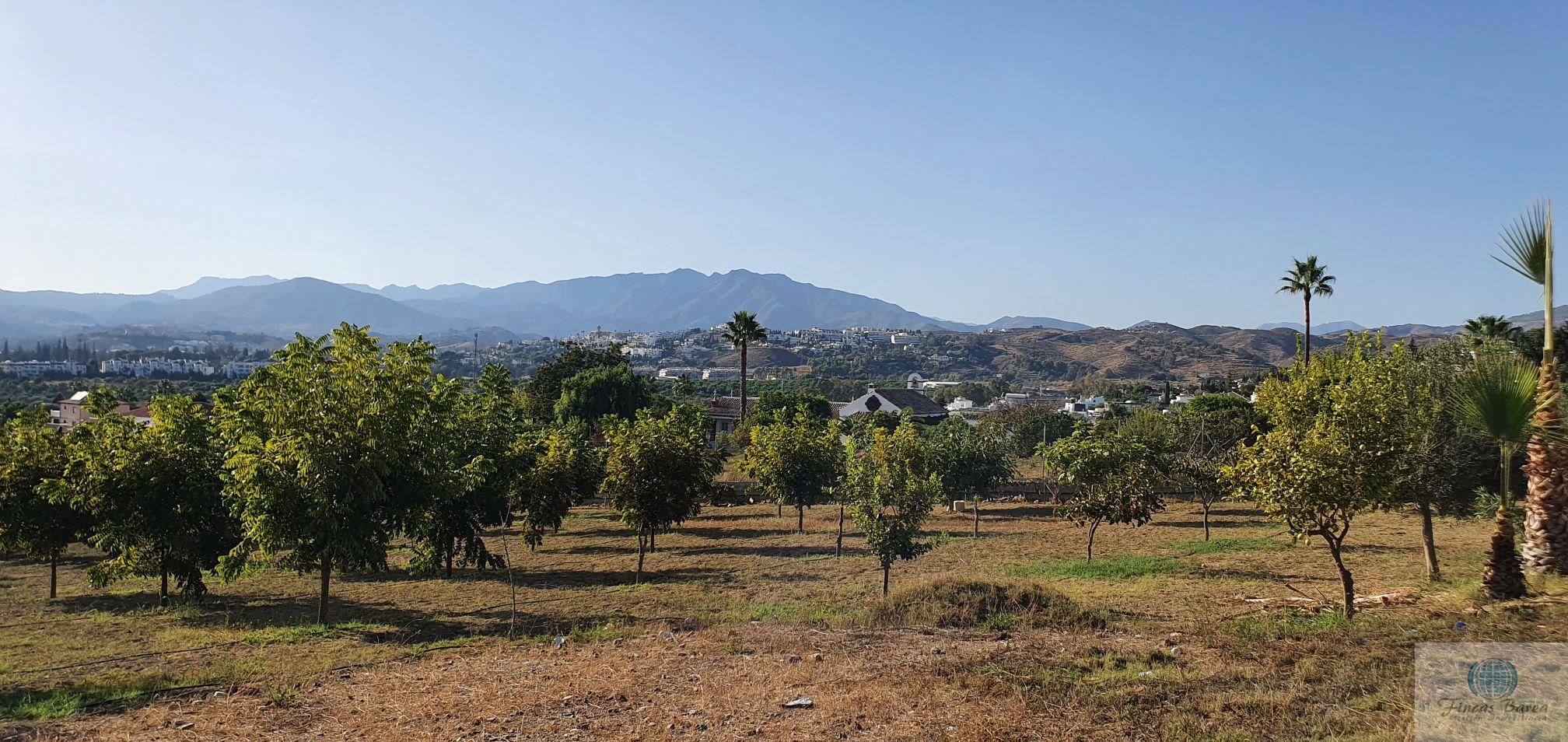 Venta de finca rústica en Mijas Costa