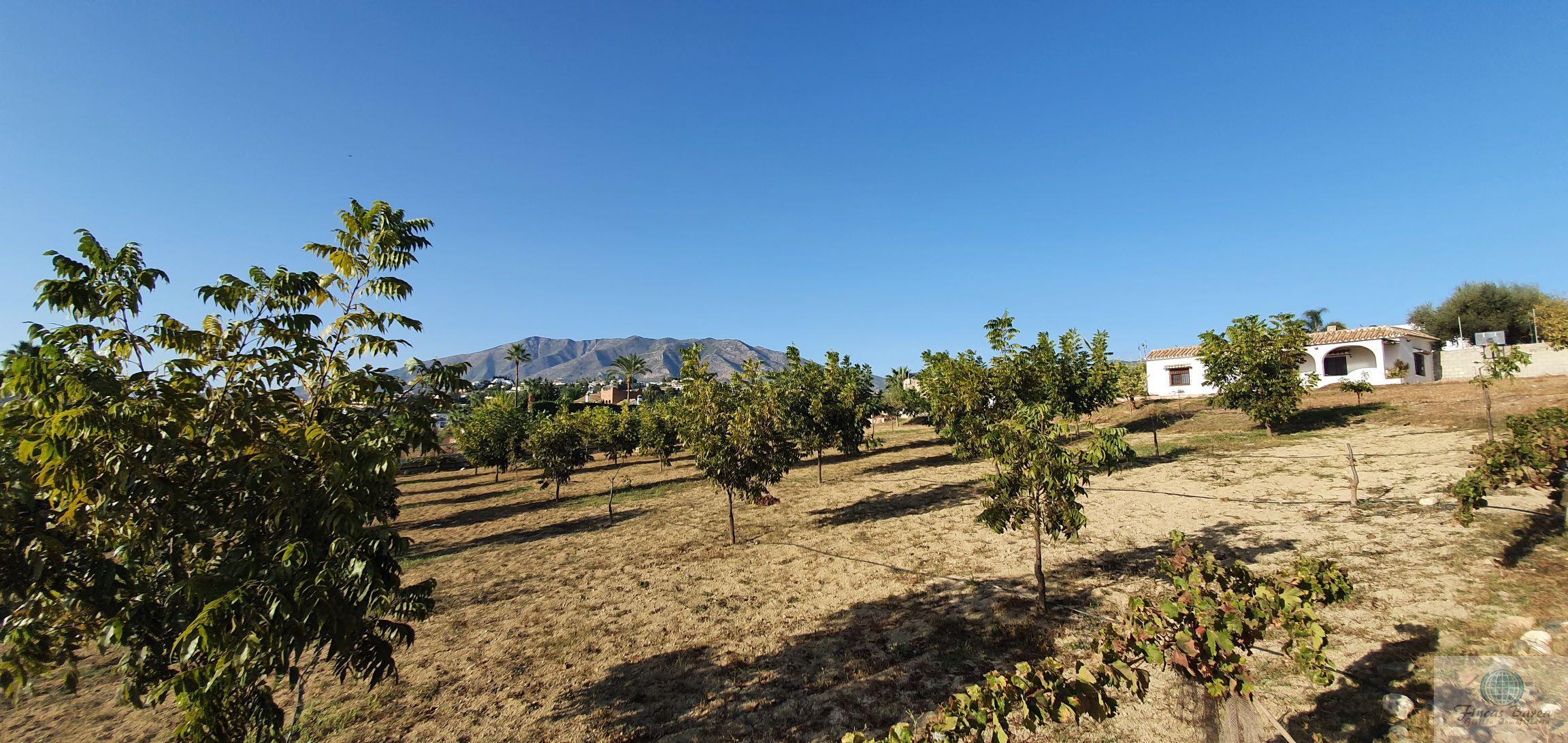 For sale of rural property in Mijas Costa