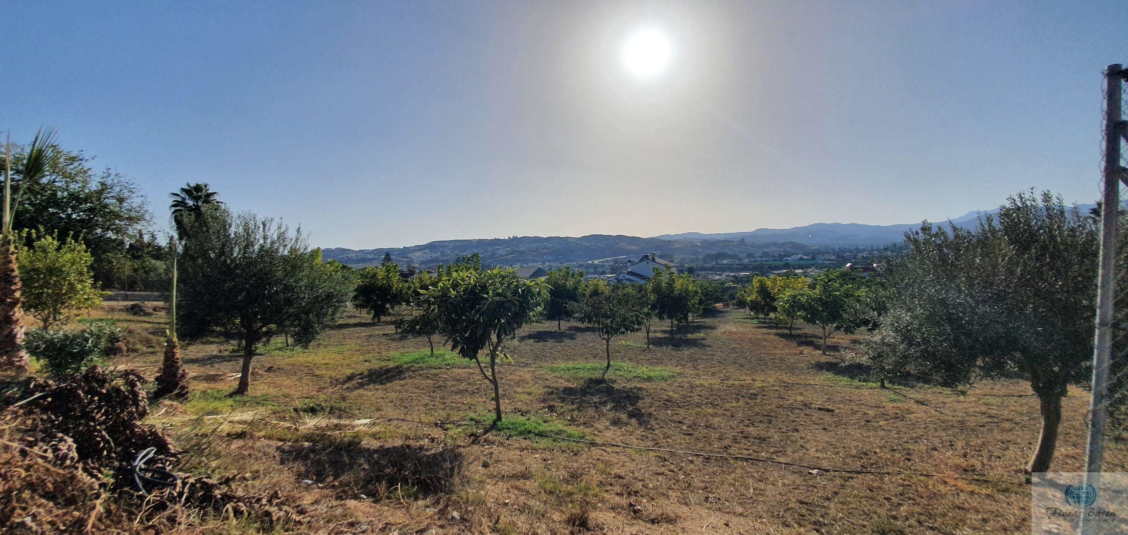 For sale of rural property in Mijas Costa