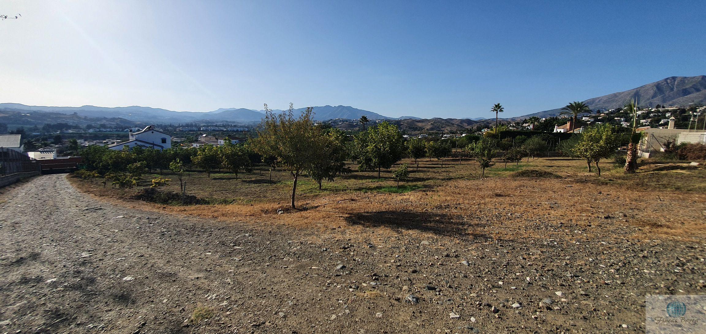 Venta de finca rústica en Mijas Costa