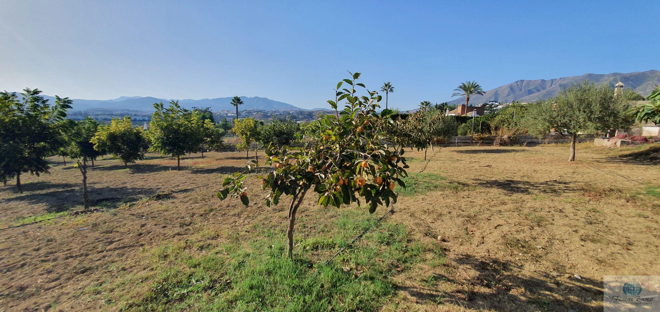 Venta de finca rústica en Mijas Costa