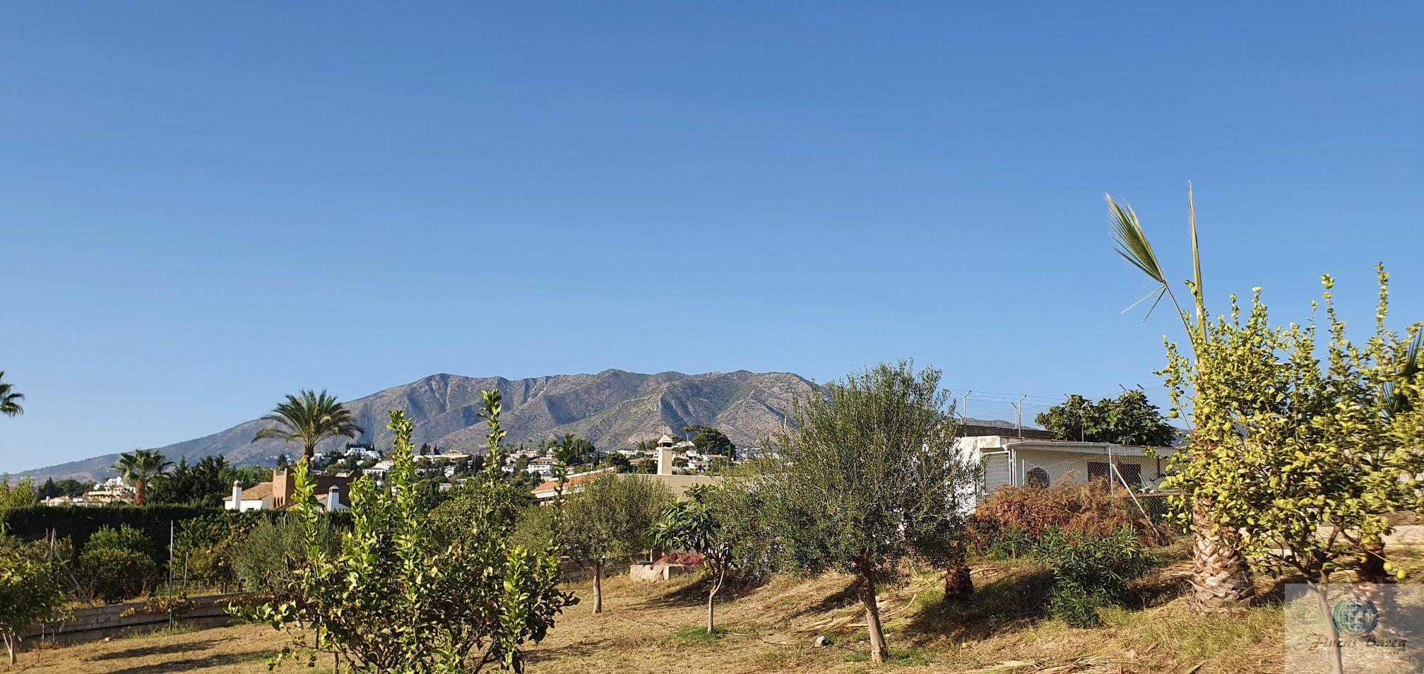 Venta de finca rústica en Mijas Costa