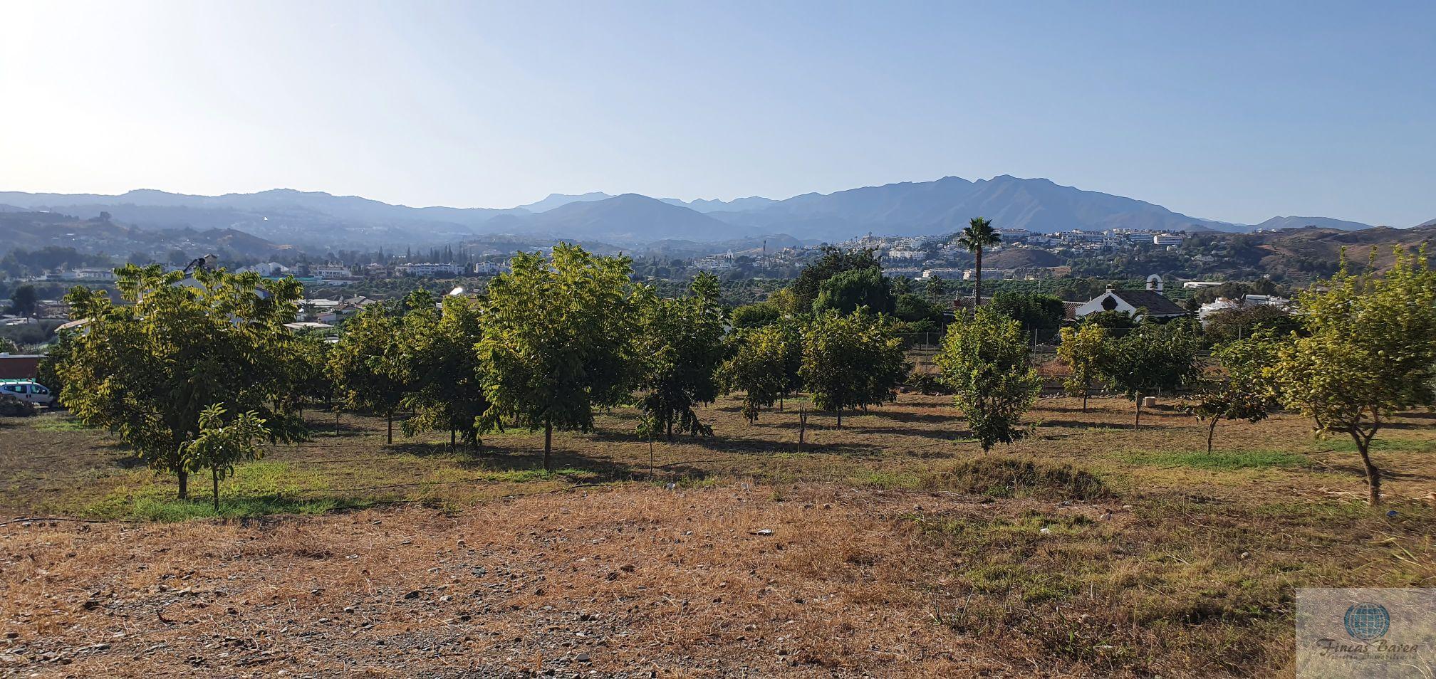 Venta de finca rústica en Mijas Costa