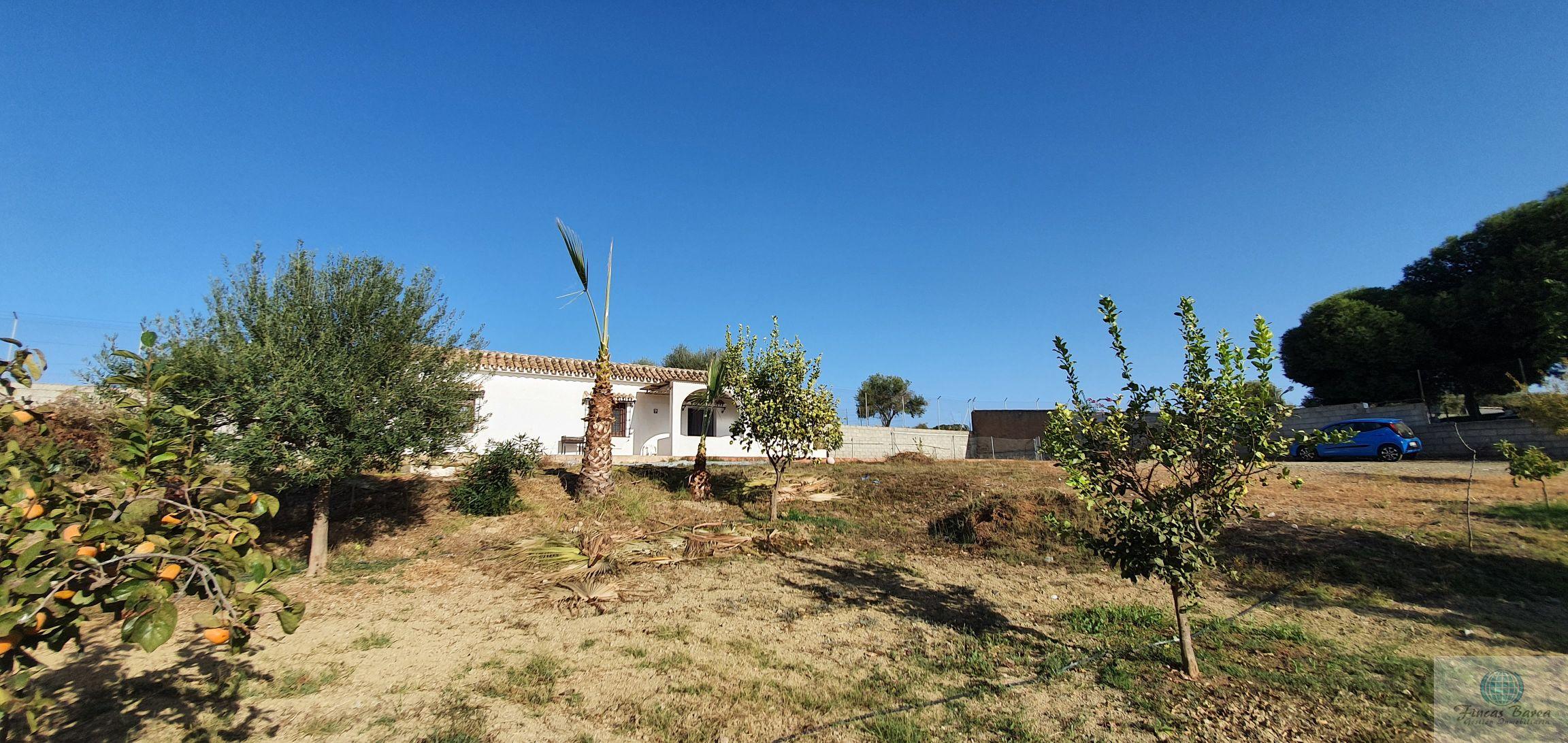 For sale of rural property in Mijas Costa