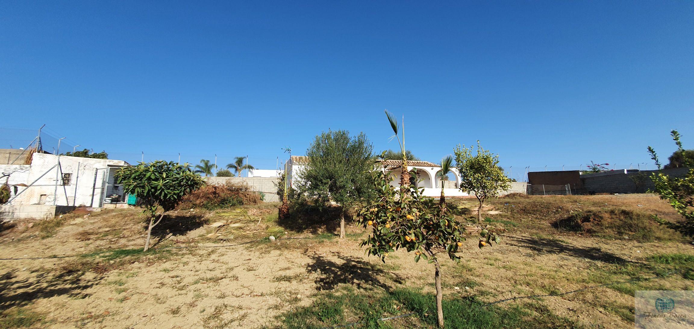 For sale of rural property in Mijas Costa