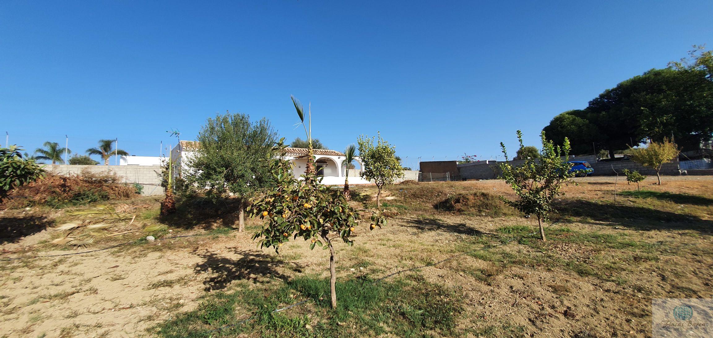 Venta de finca rústica en Mijas Costa