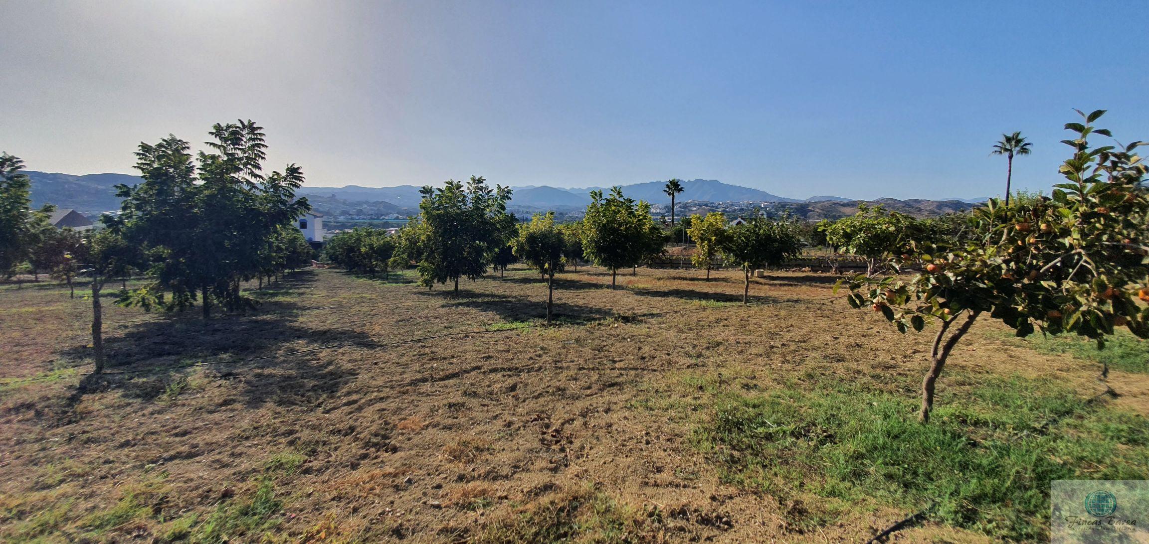 For sale of rural property in Mijas Costa