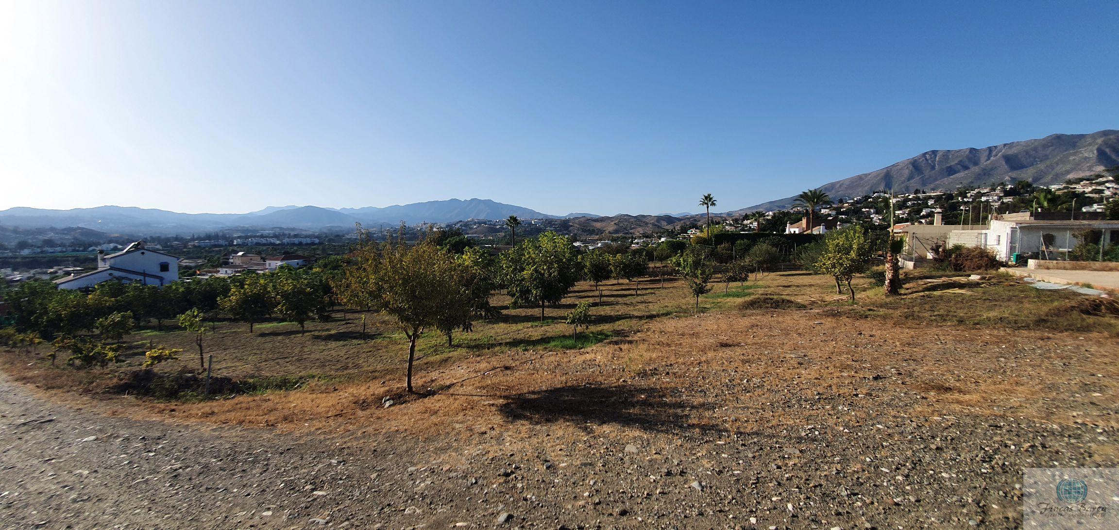 Venta de finca rústica en Mijas Costa