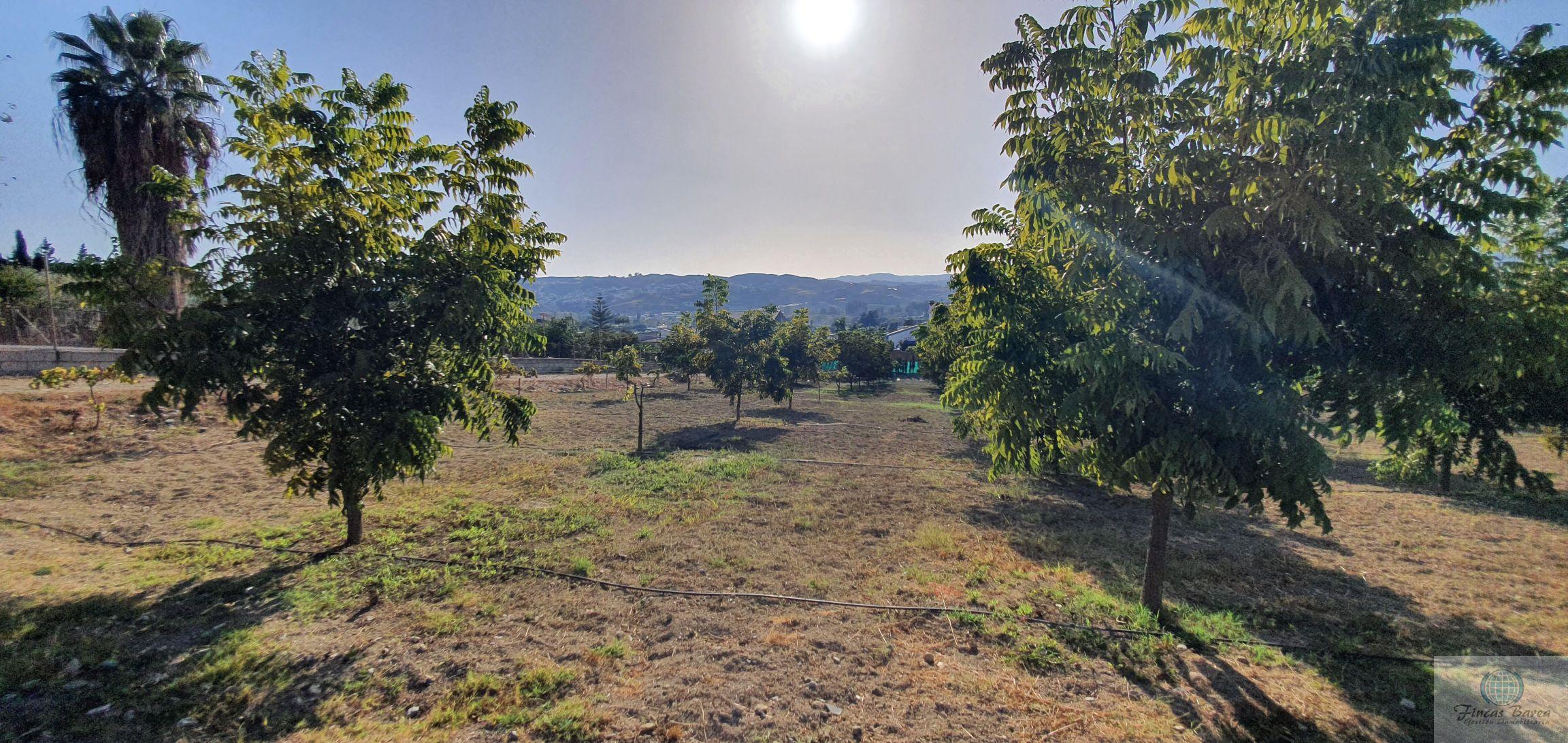 Venta de finca rústica en Mijas Costa