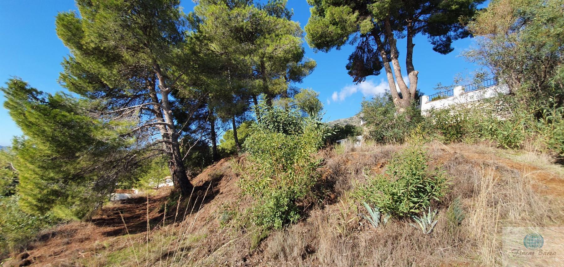 For sale of land in Mijas