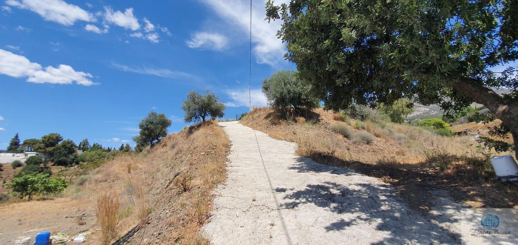 Venta de terreno en Mijas