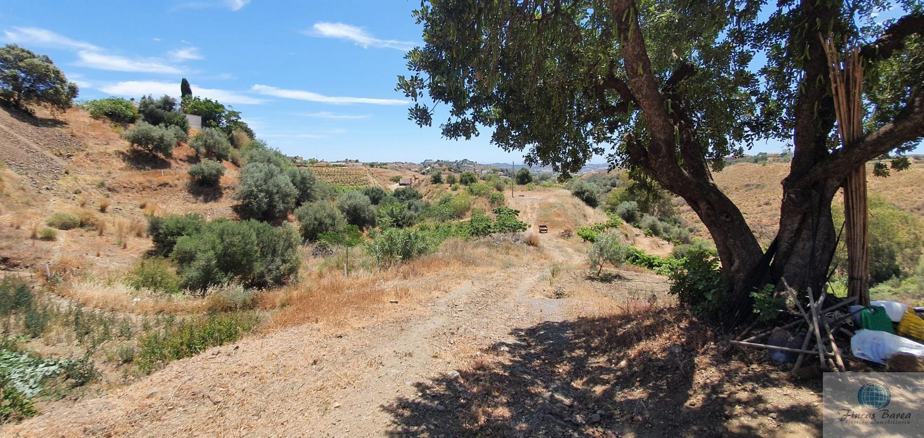 Venta de terreno en Mijas