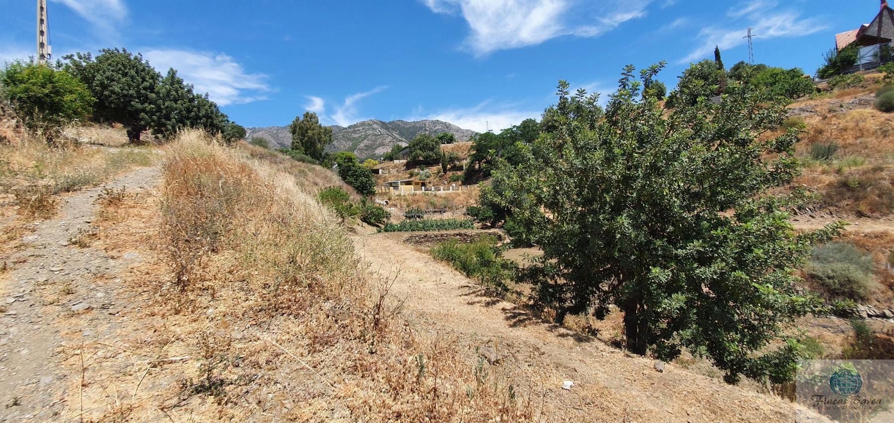 Venta de terreno en Mijas