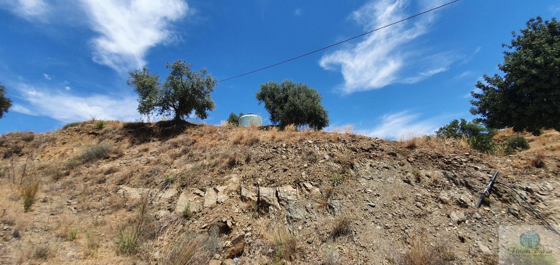 Venta de terreno en Mijas