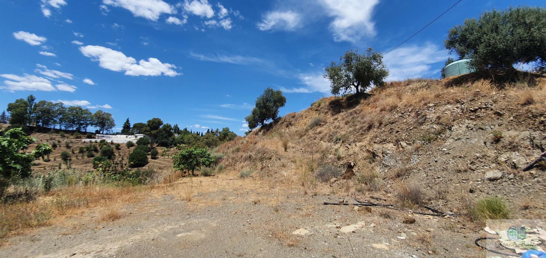 Venta de terreno en Mijas