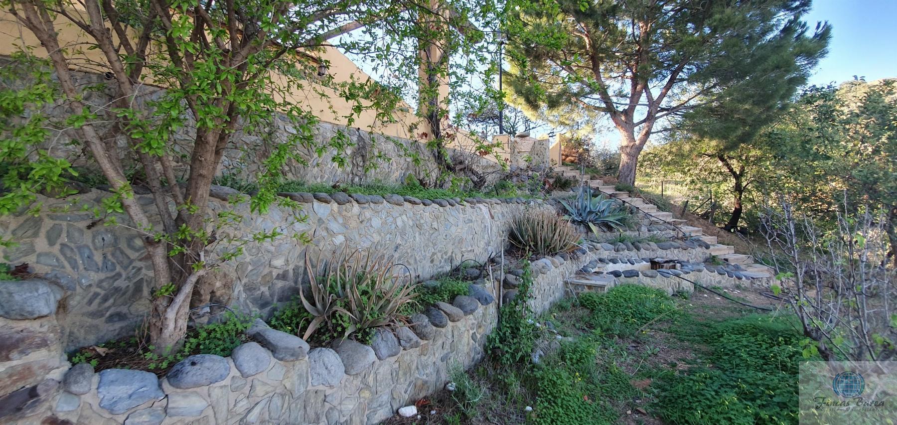 Venta de finca rústica en Mijas Costa