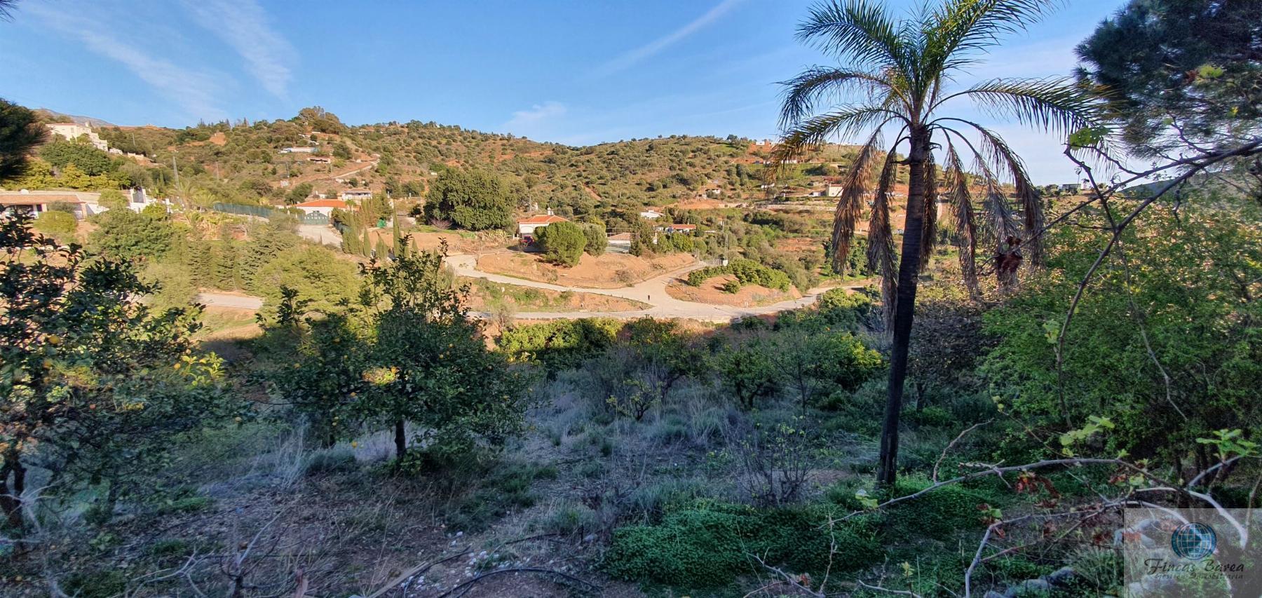 Venta de finca rústica en Mijas Costa