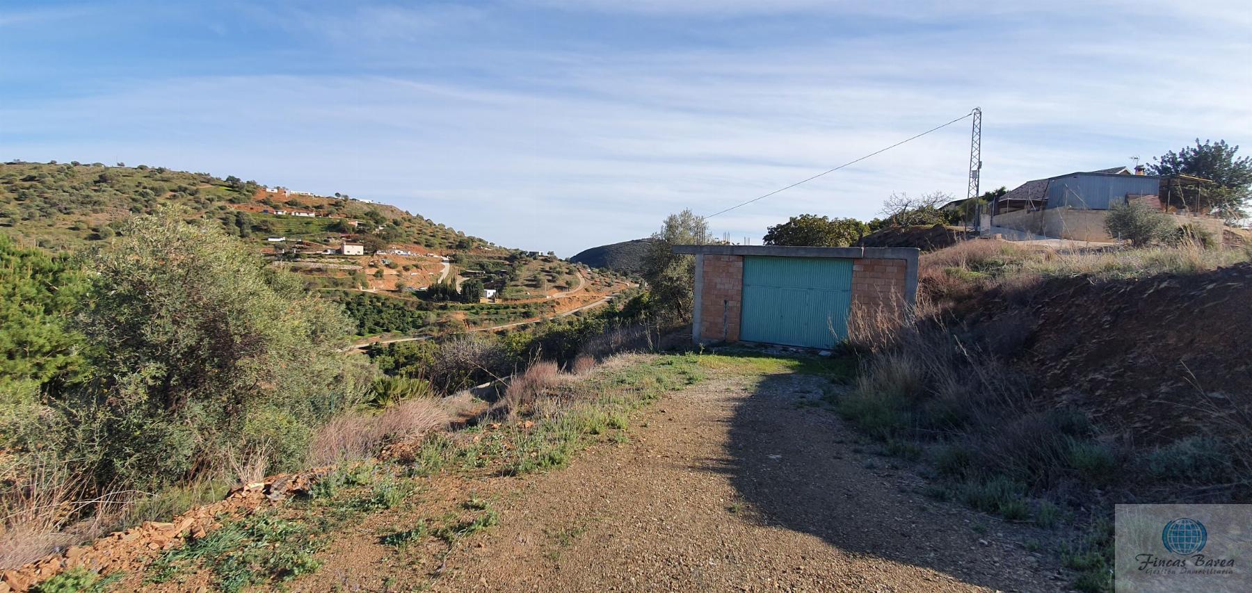 Venta de finca rústica en Mijas Costa