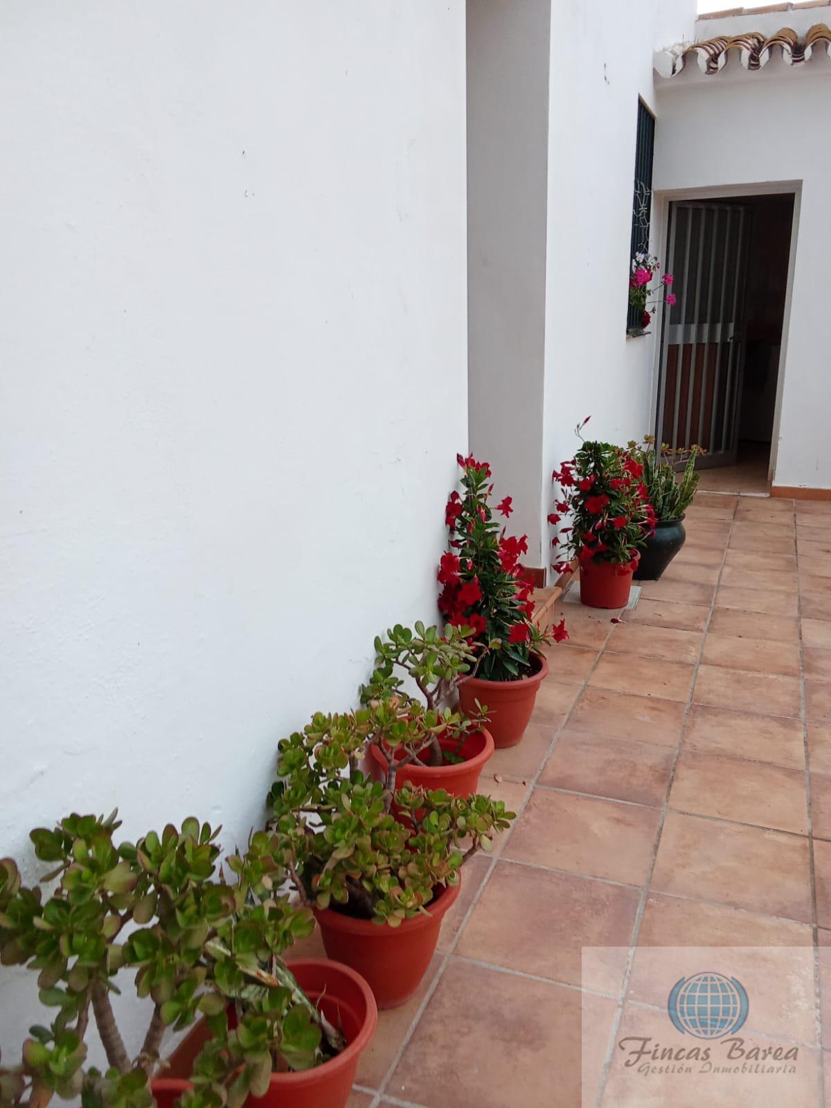 Venta de finca rústica en Mijas Costa