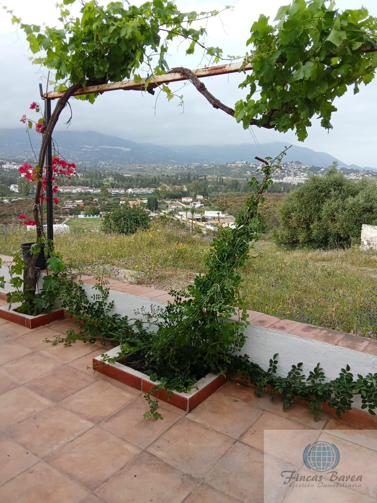 Venta de finca rústica en Mijas Costa