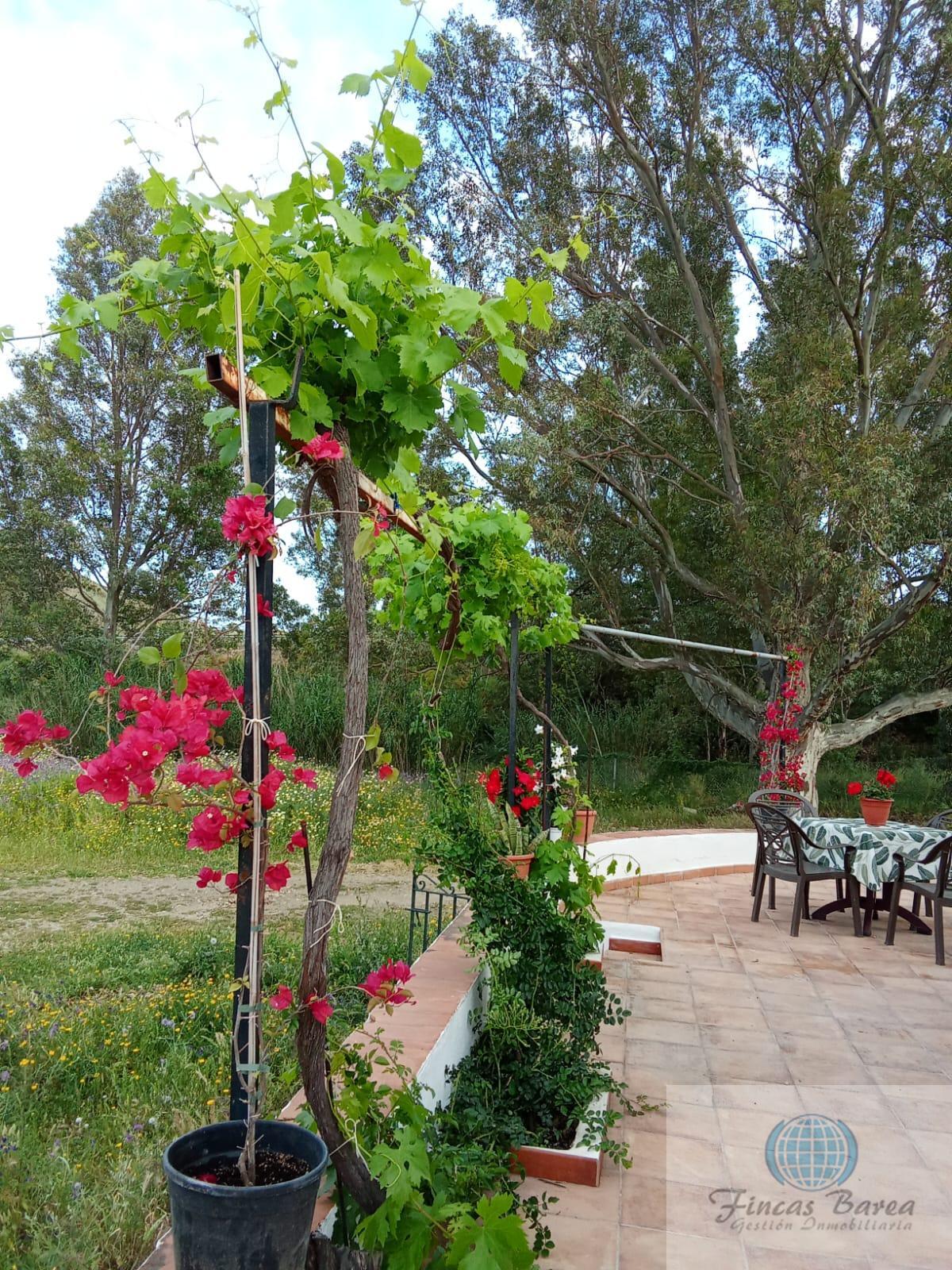 Venta de finca rústica en Mijas Costa