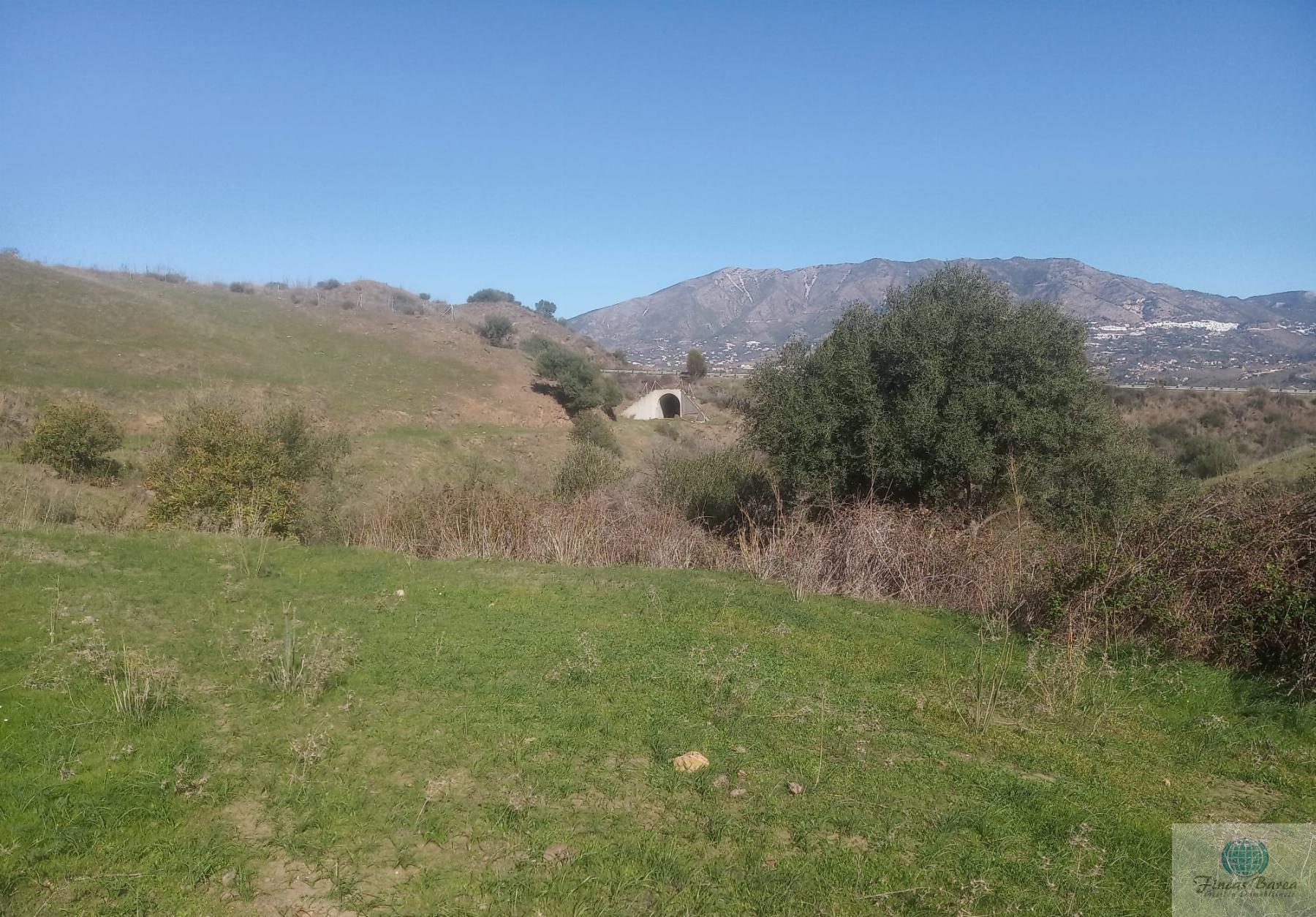 Venta de finca rústica en Mijas Costa