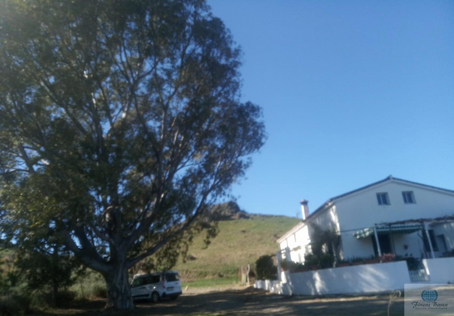 Venta de finca rústica en Mijas Costa