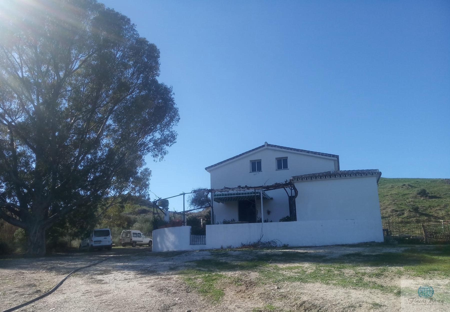 Venta de finca rústica en Mijas Costa