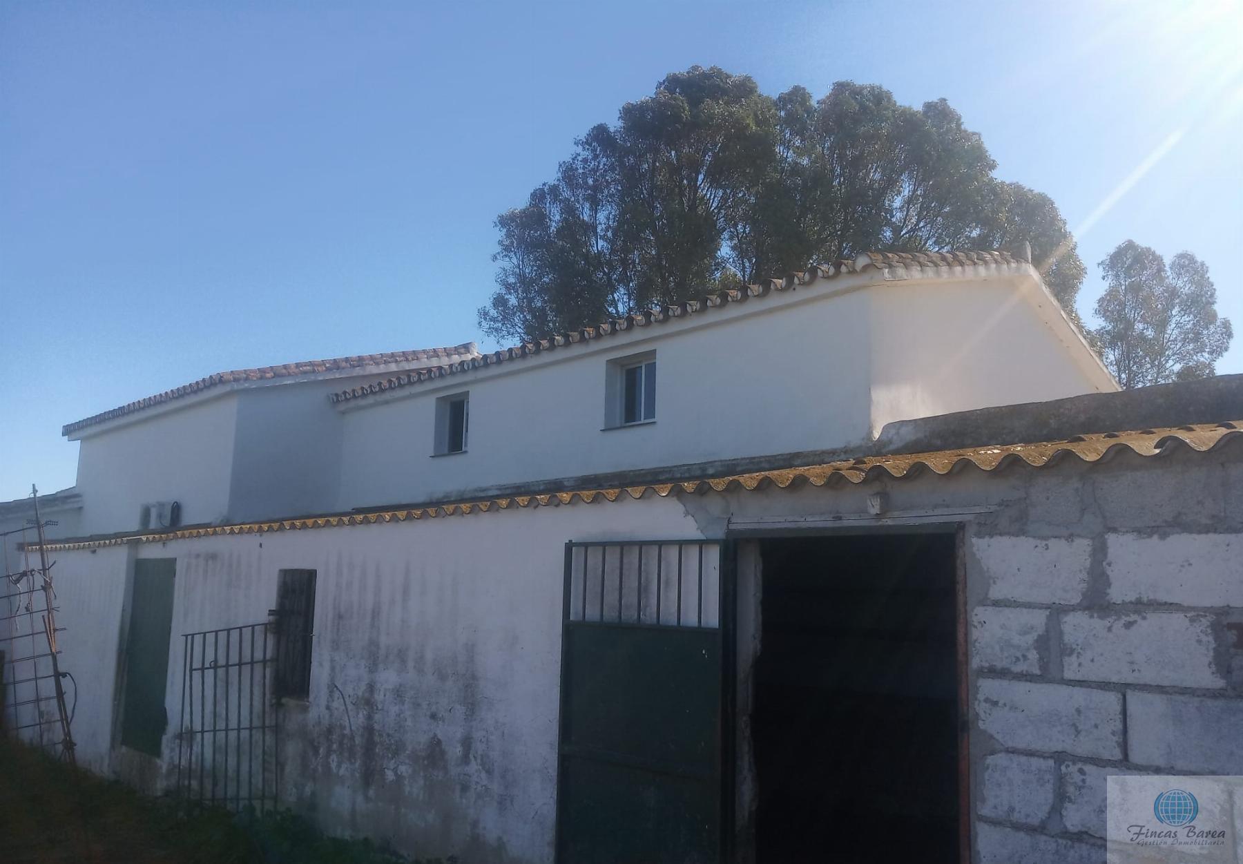Venta de finca rústica en Mijas Costa