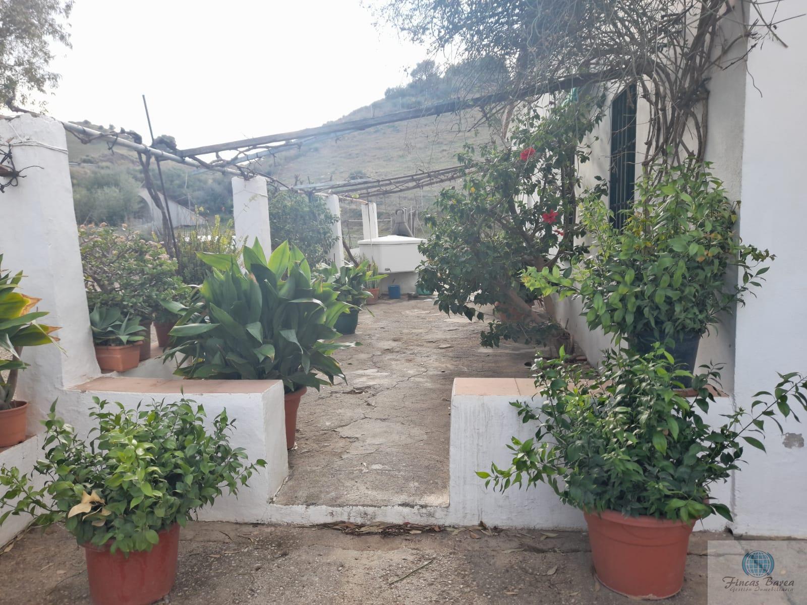 Venta de finca rústica en Mijas Costa