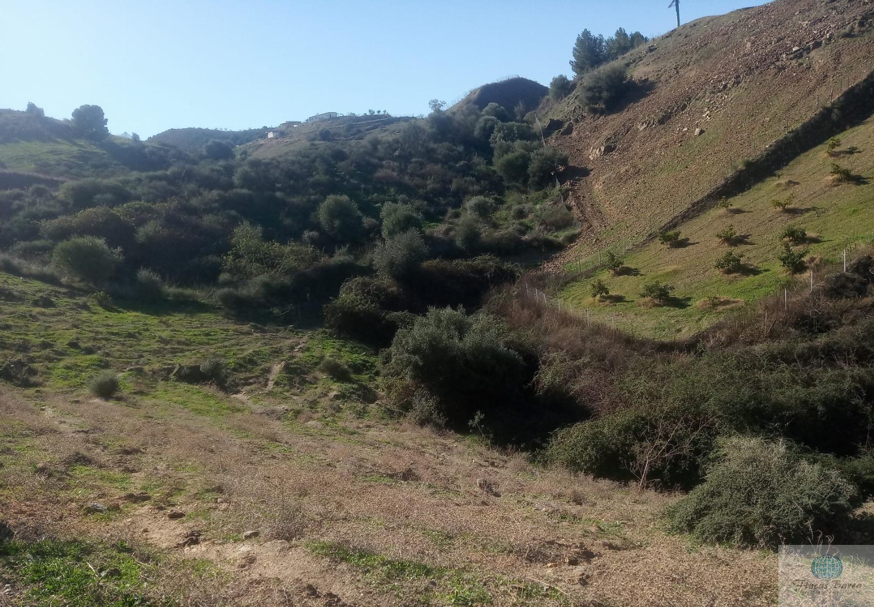 Venta de finca rústica en Mijas Costa