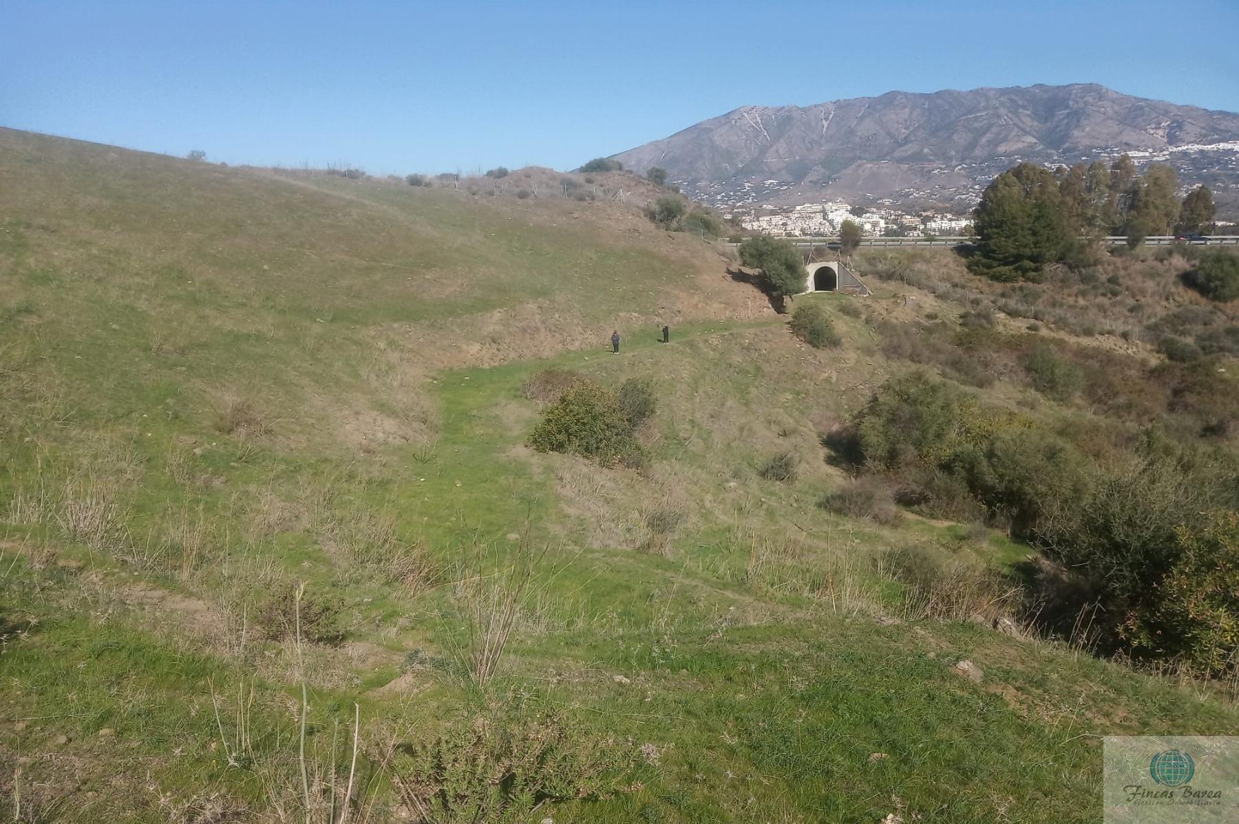 Venta de finca rústica en Mijas Costa