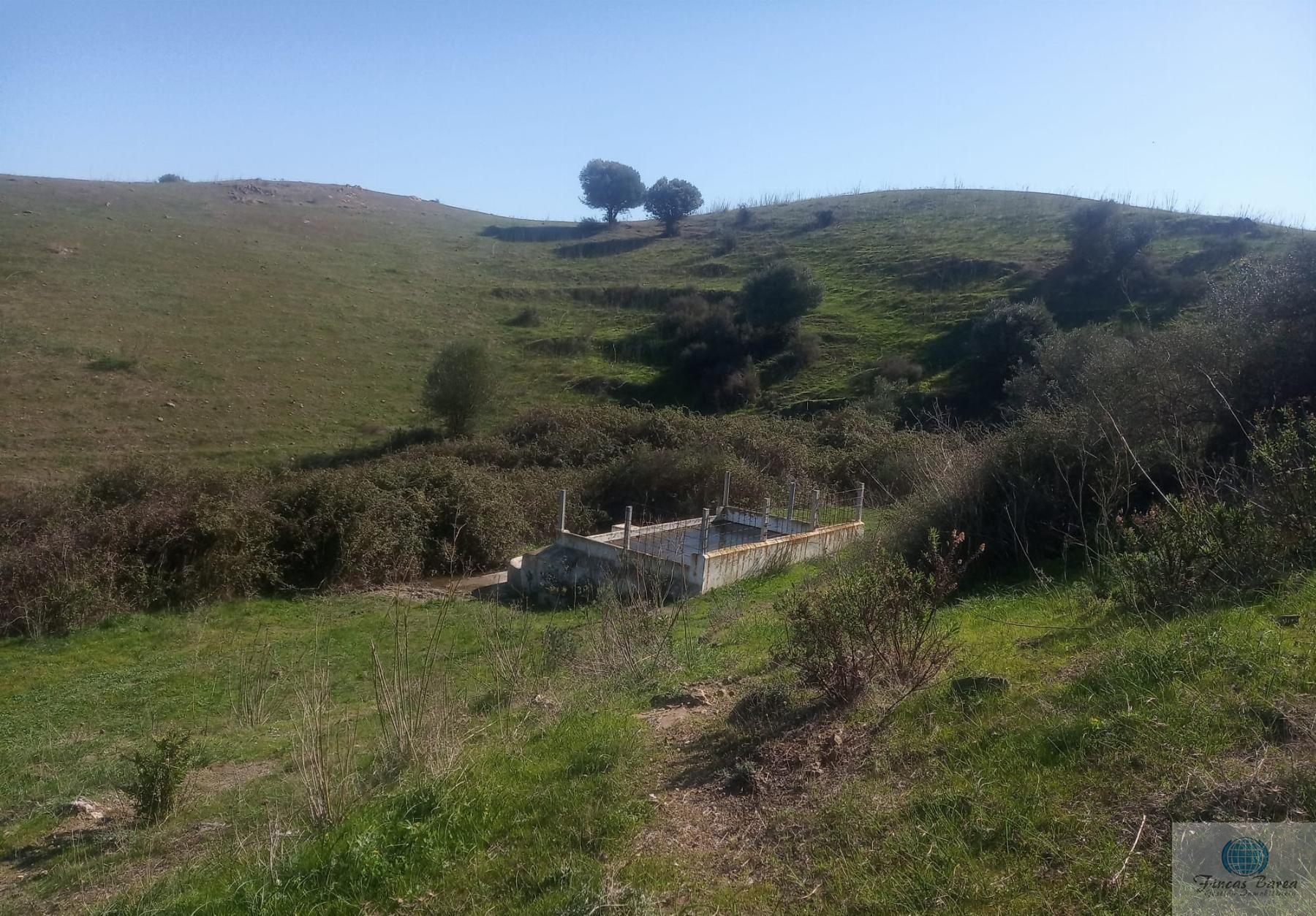 Venta de finca rústica en Mijas Costa