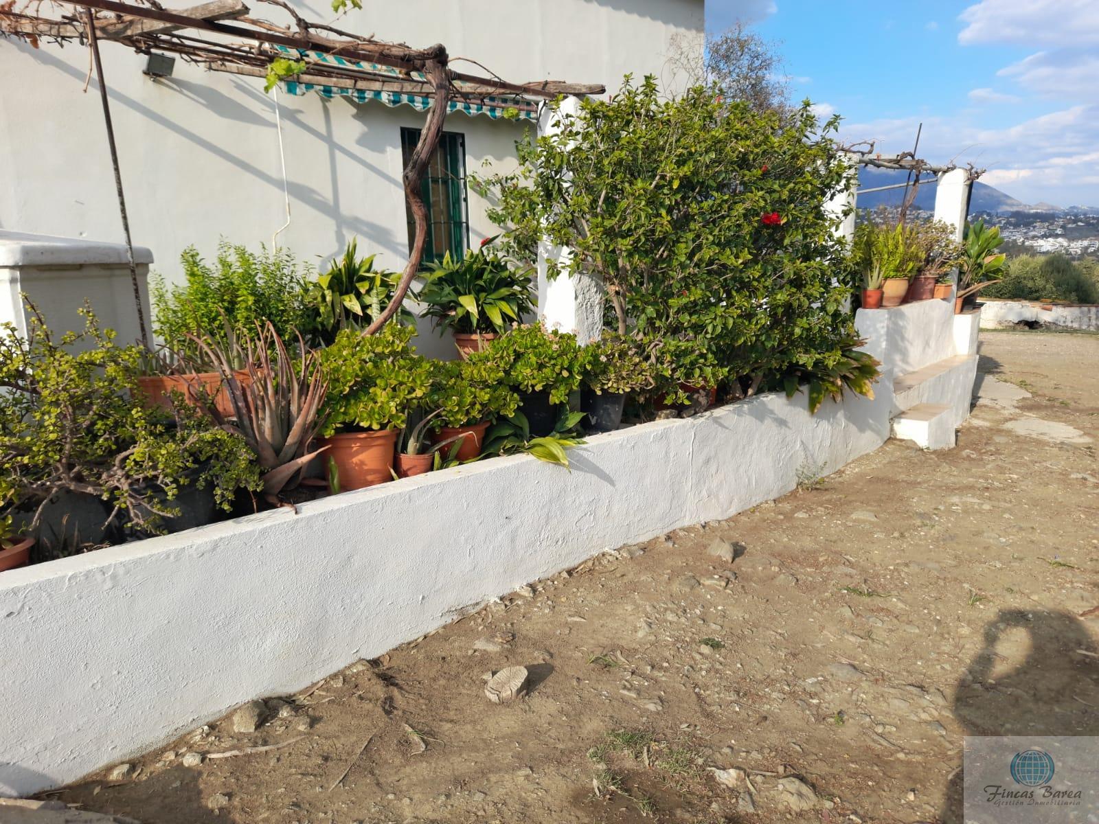 Venta de finca rústica en Mijas Costa