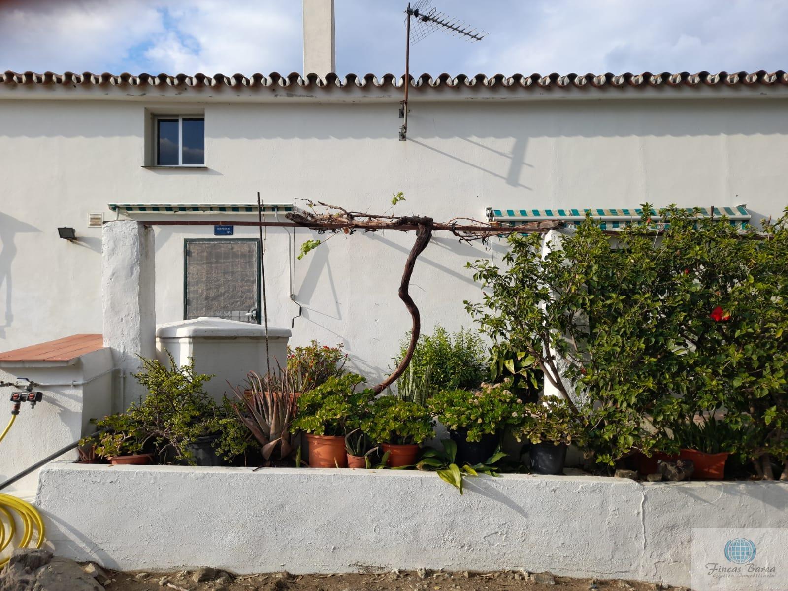 Venta de finca rústica en Mijas Costa