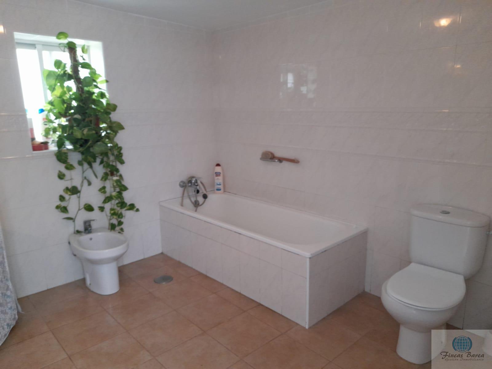 Venta de finca rústica en Mijas Costa