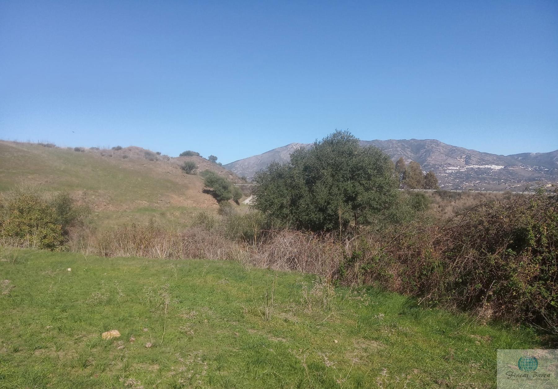 Venta de finca rústica en Mijas Costa