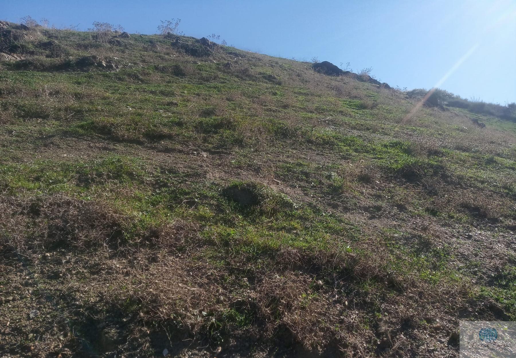 Venta de finca rústica en Mijas Costa