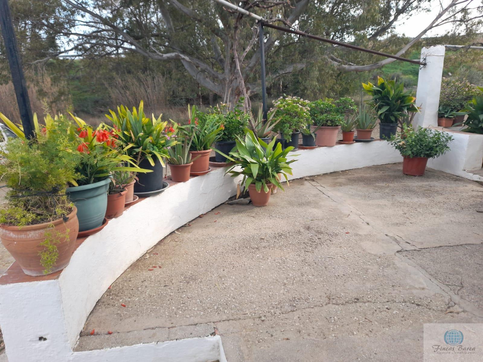 Venta de finca rústica en Mijas Costa