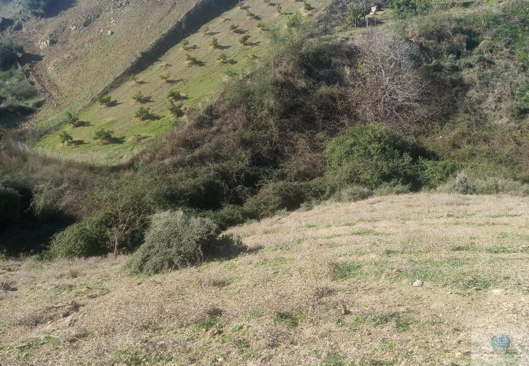 Venta de finca rústica en Mijas Costa