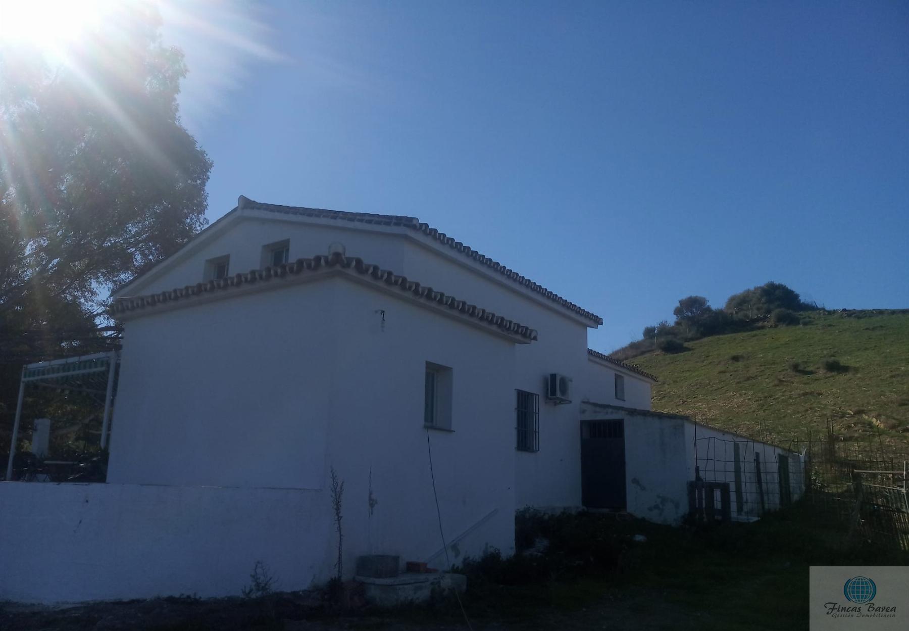 Venta de finca rústica en Mijas Costa