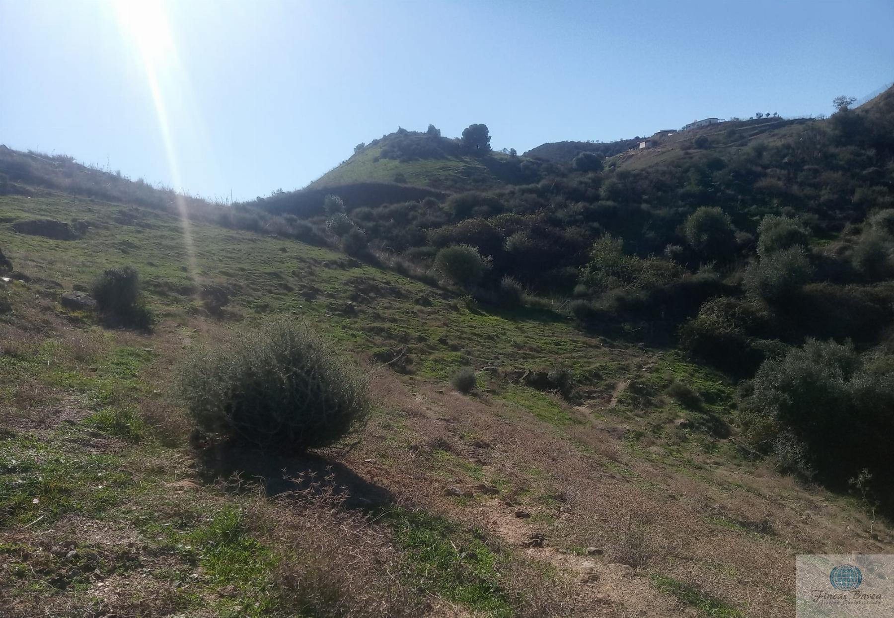 Venta de finca rústica en Mijas Costa