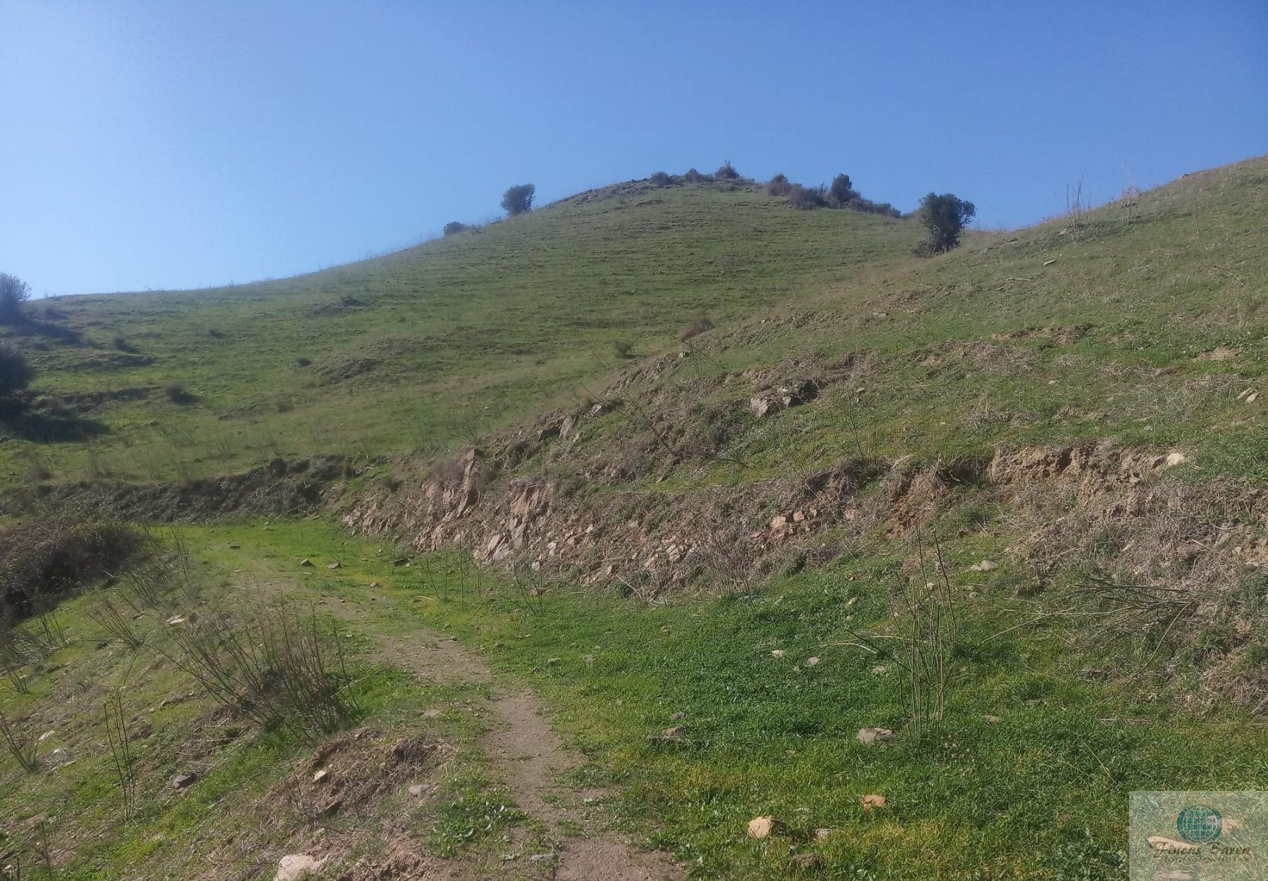 Venta de finca rústica en Mijas Costa