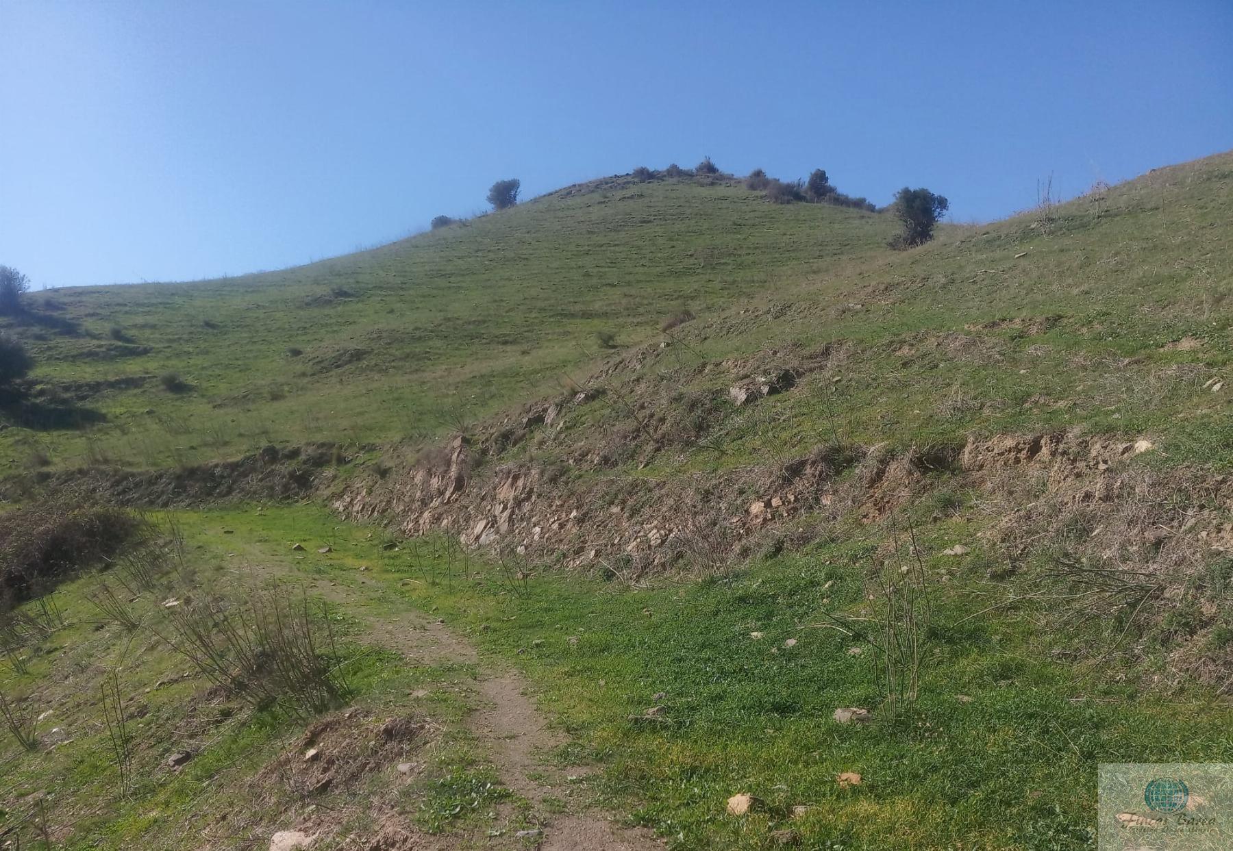 Venta de finca rústica en Mijas Costa