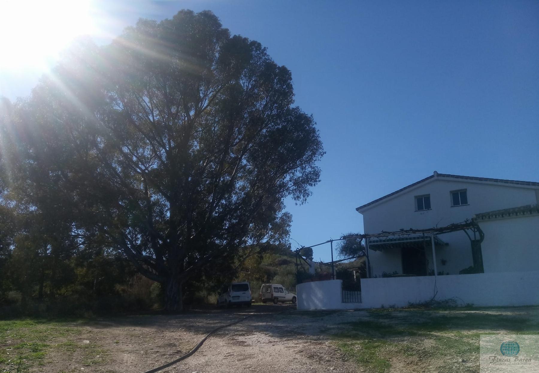 Venta de finca rústica en Mijas Costa