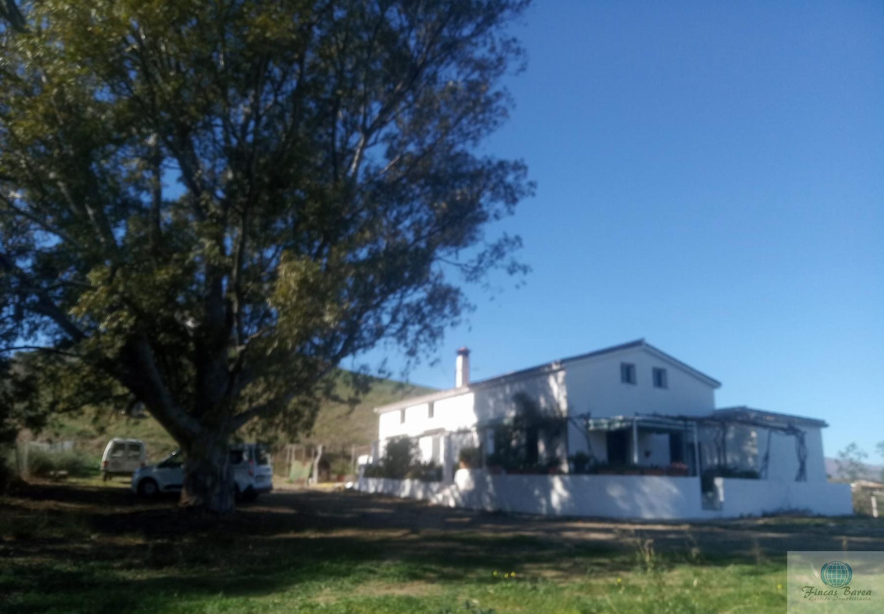 For sale of rural property in Mijas Costa